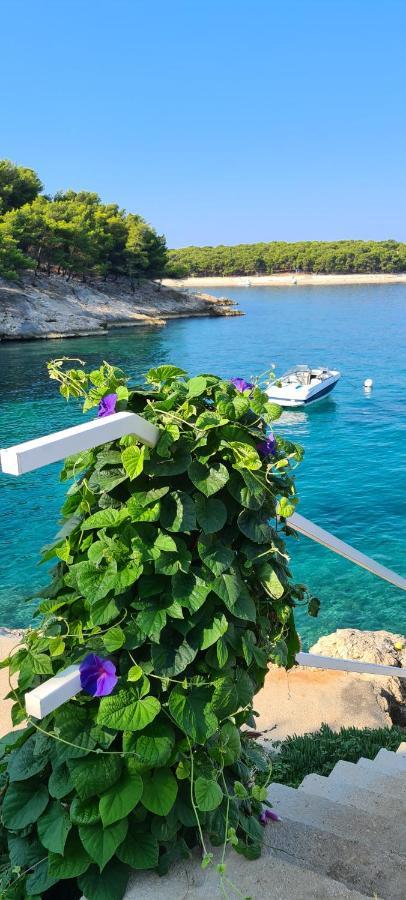 Maneni Villa Rogoznica  Dış mekan fotoğraf