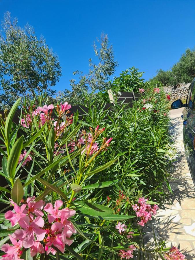 Maneni Villa Rogoznica  Dış mekan fotoğraf