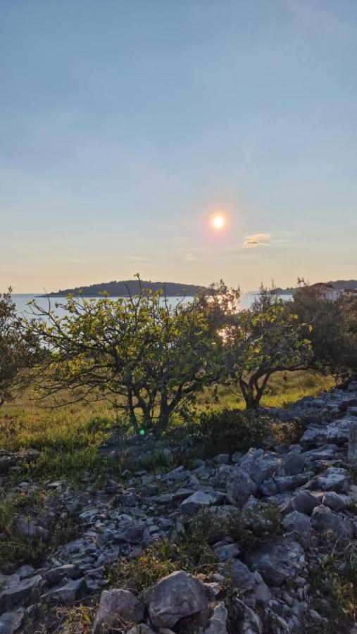 Maneni Villa Rogoznica  Dış mekan fotoğraf