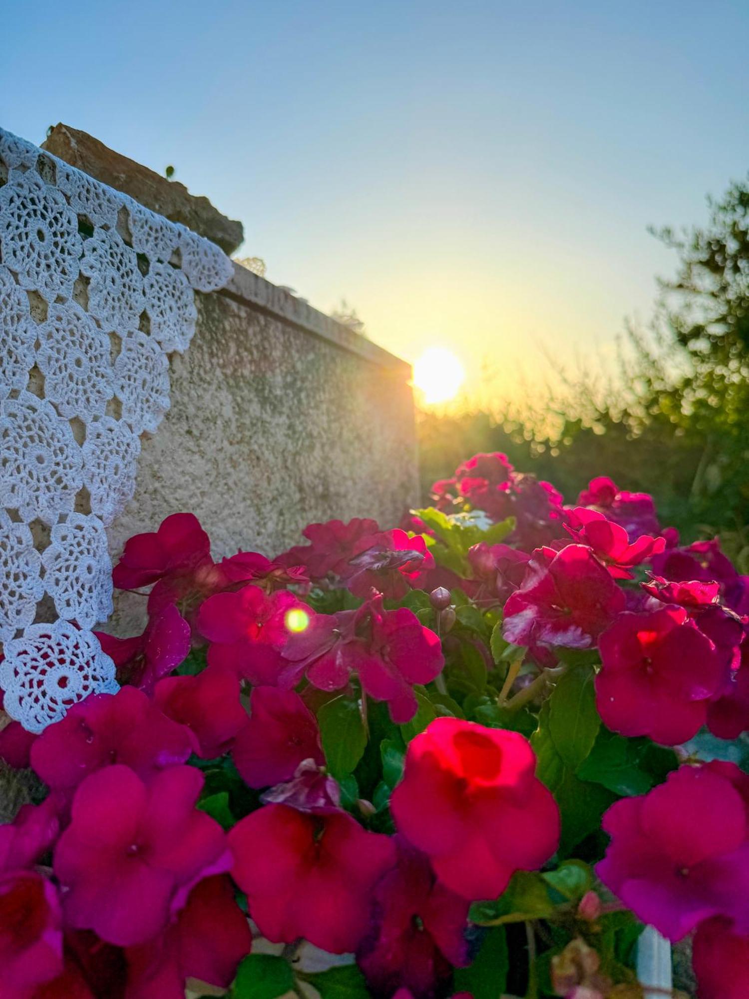 Maneni Villa Rogoznica  Dış mekan fotoğraf